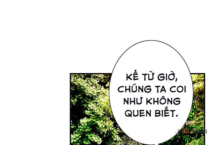 Chapter 42 ảnh 37