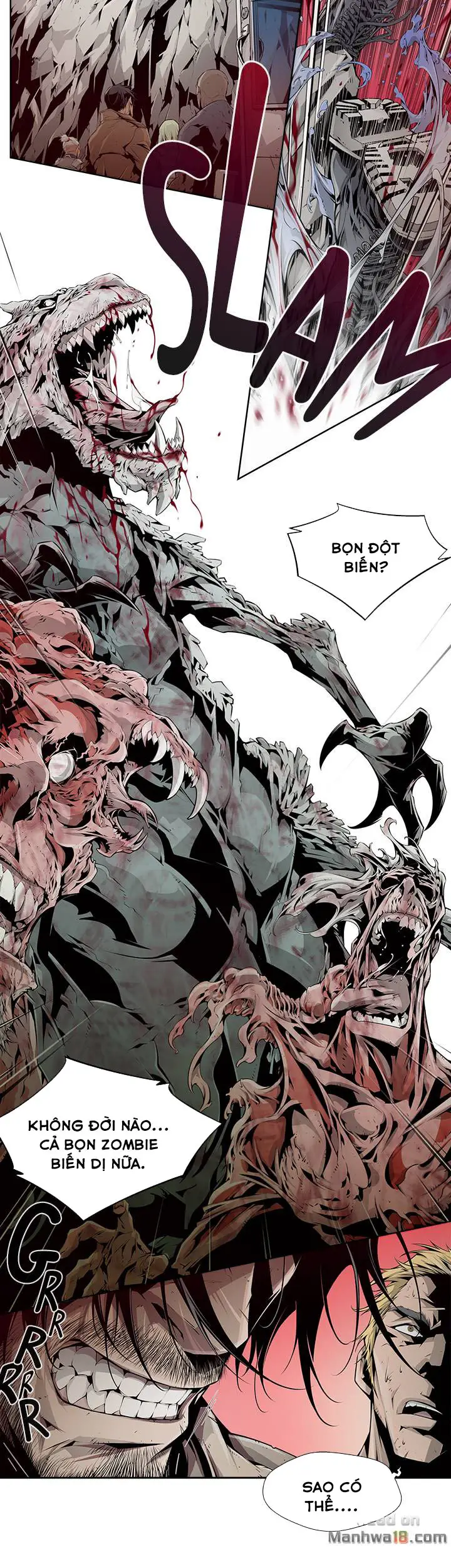 Chapter 5 ảnh 4
