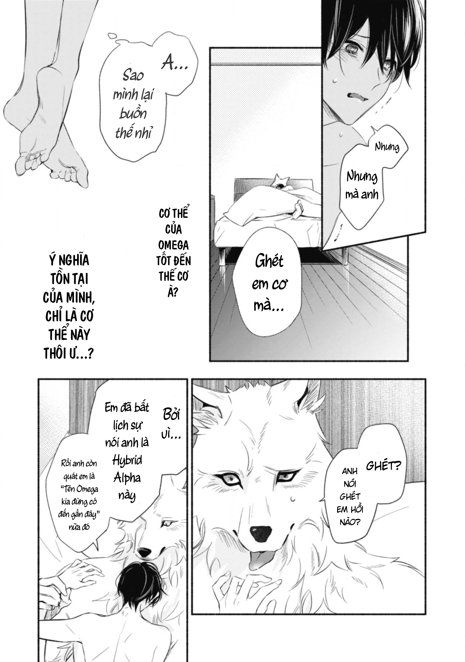 Chapter 3 ảnh 19