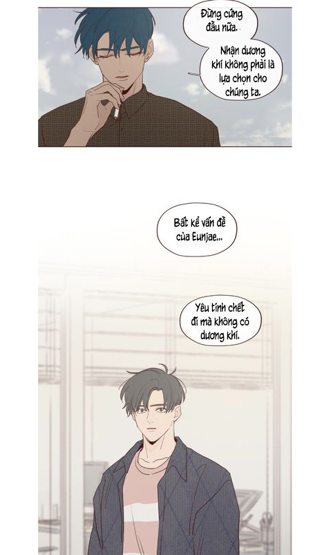 Chapter 16 ảnh 9