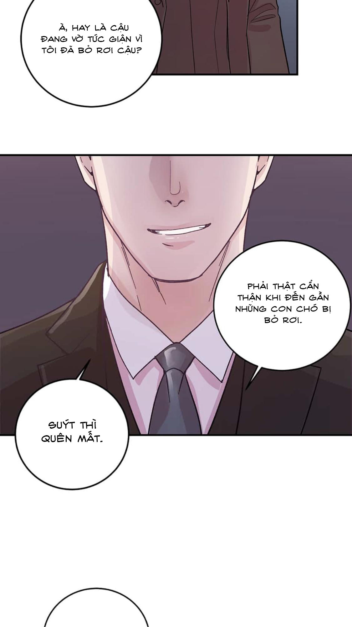 Chapter 11 ảnh 43