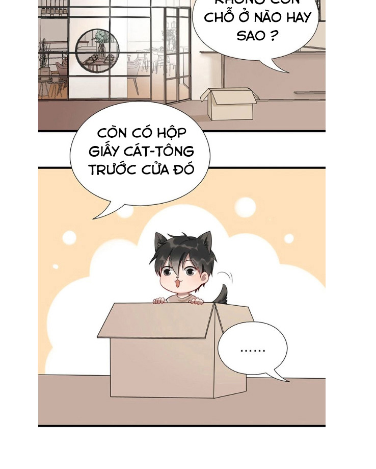 Chapter 6 ảnh 16