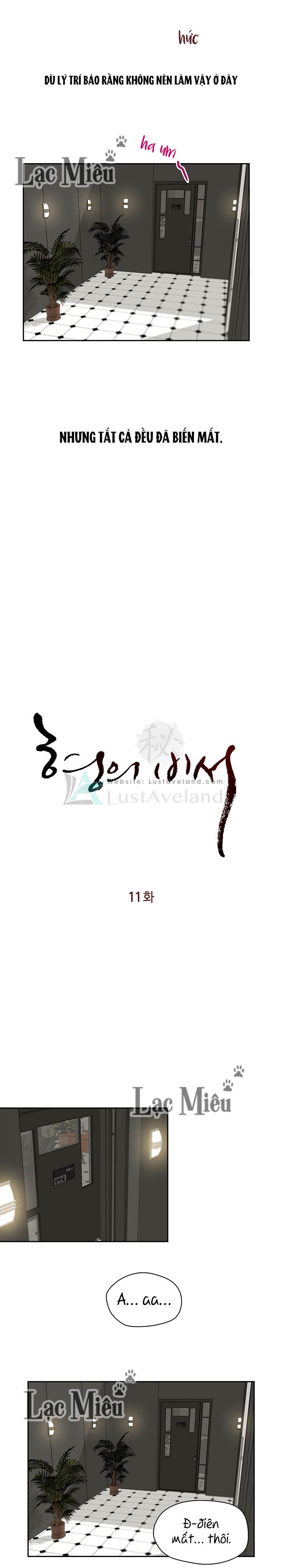 Chapter 11 ảnh 1