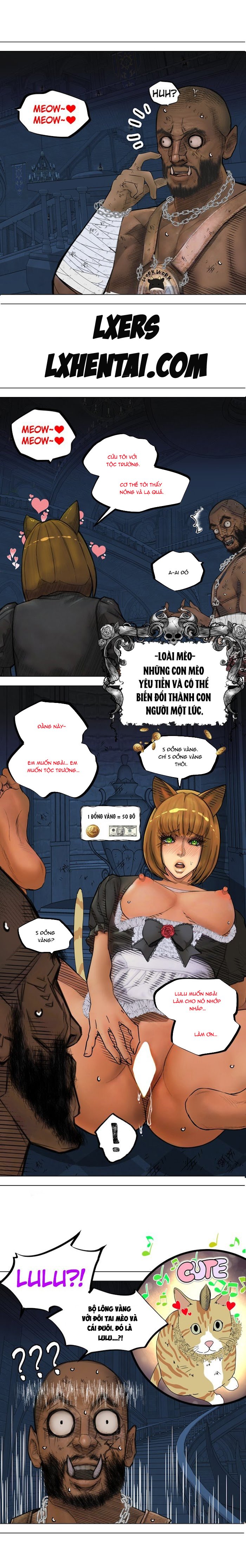 Chapter 7 ảnh 3