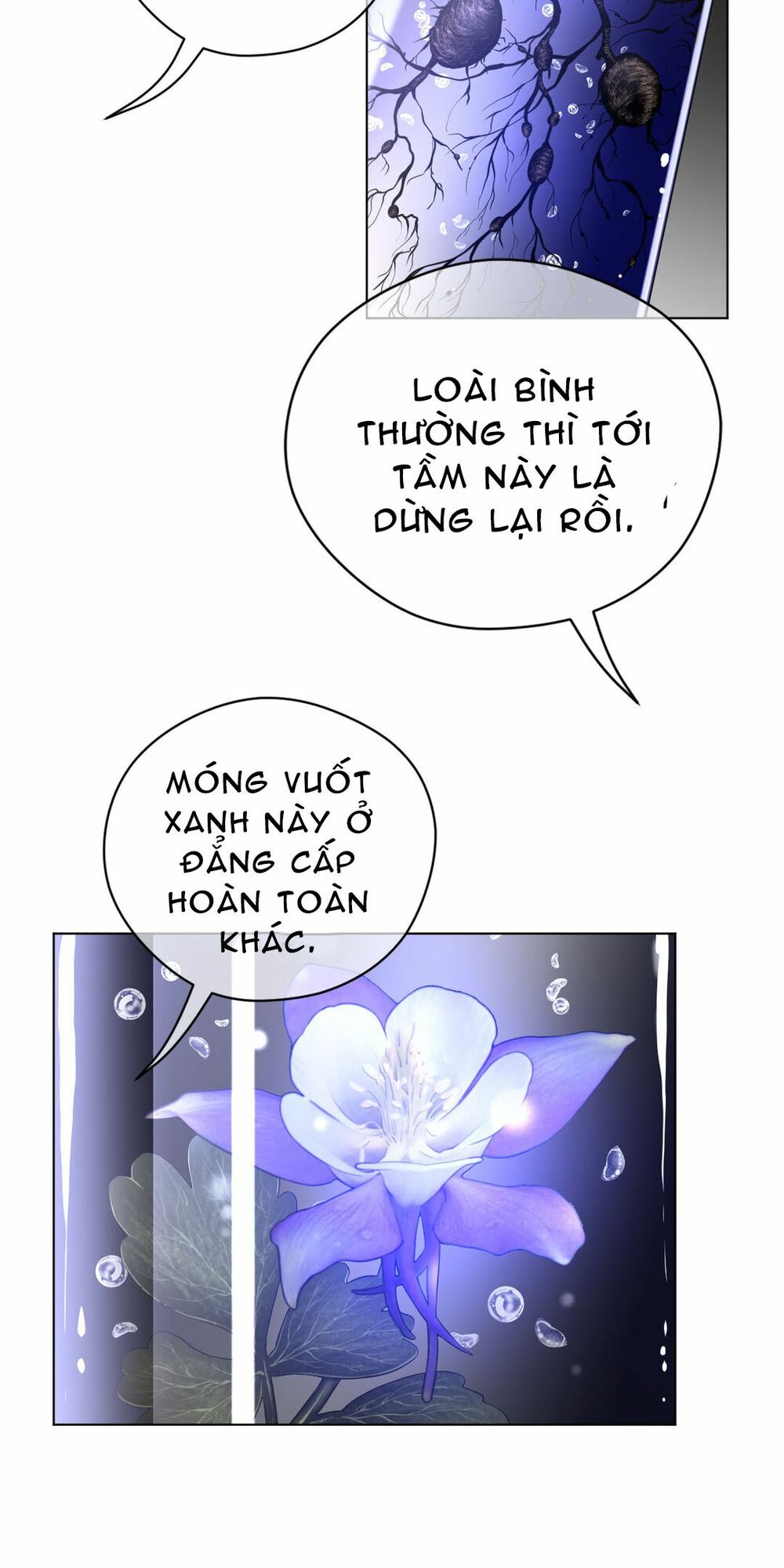 Chapter 40 ảnh 13